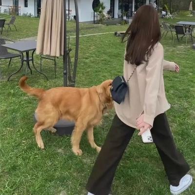 婚巢